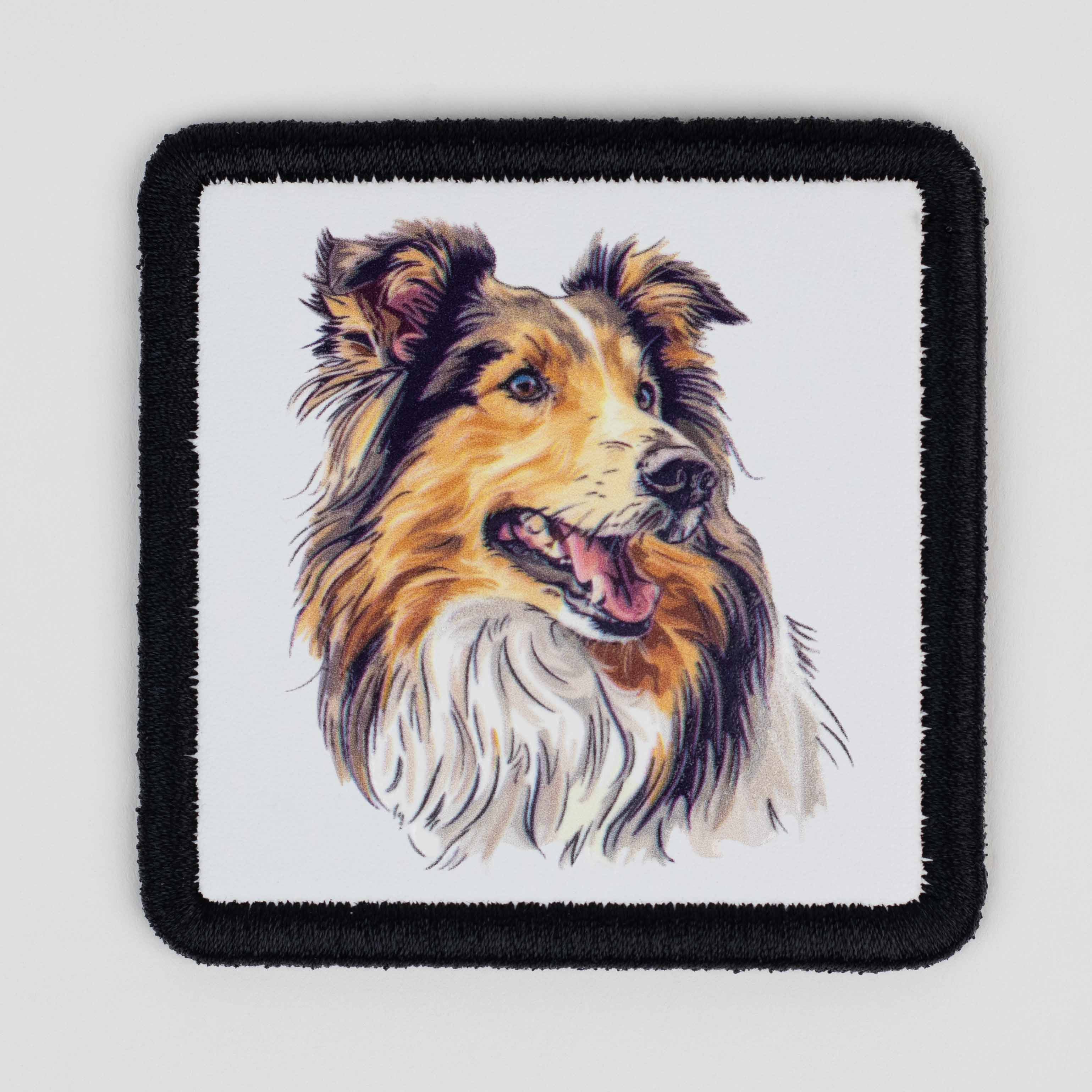 Animal Series - Collie Dog V3 White Patch