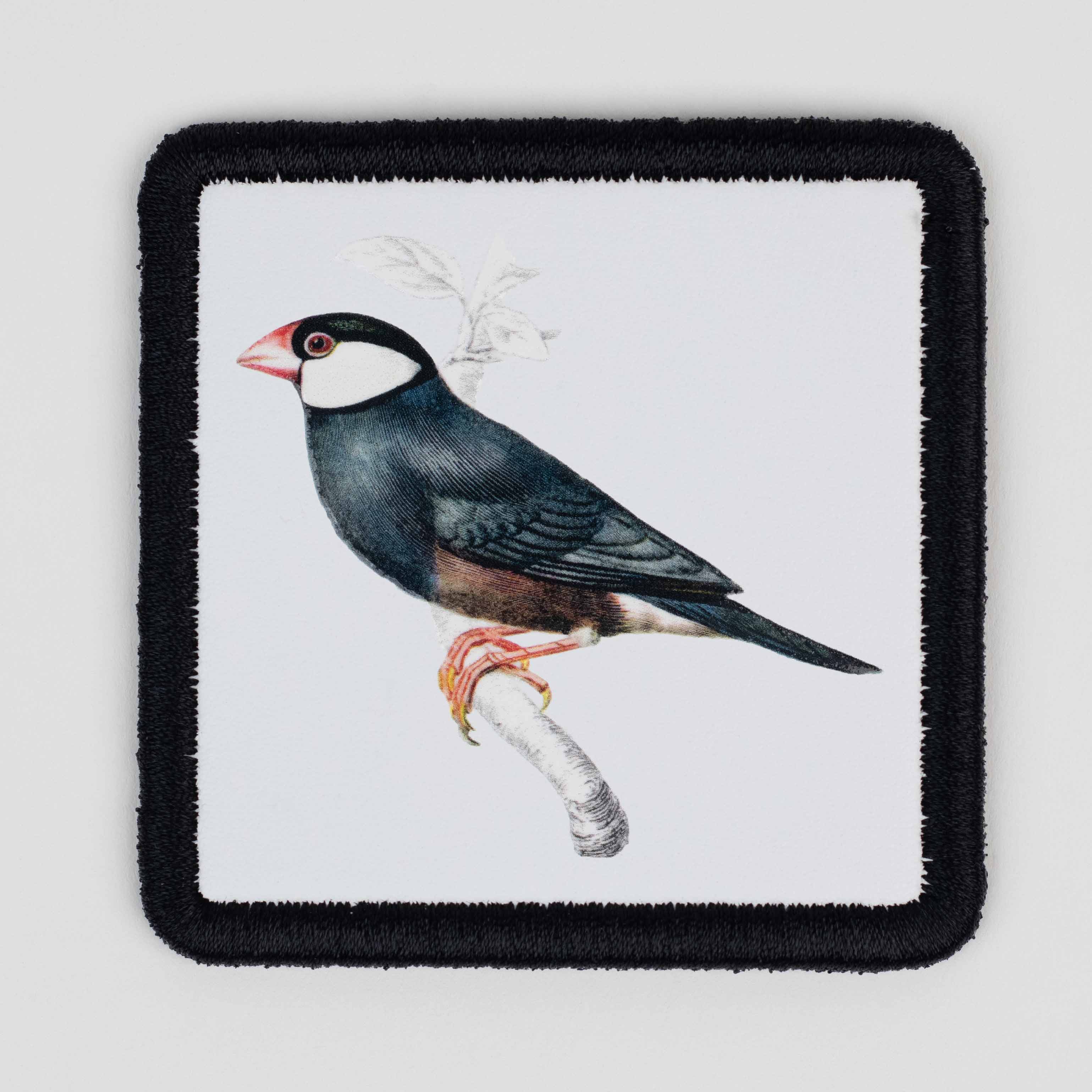 Animal Series - Pretty Bird White Patch